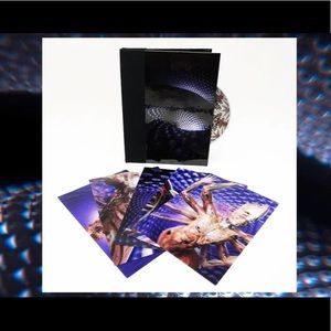 tool fear inoculum album 💿